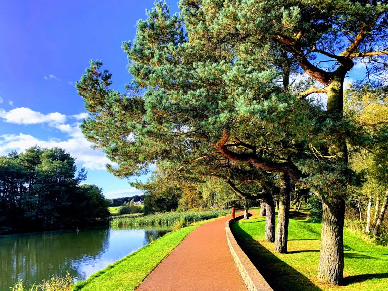 Mobile Website Design South Lanarkshire