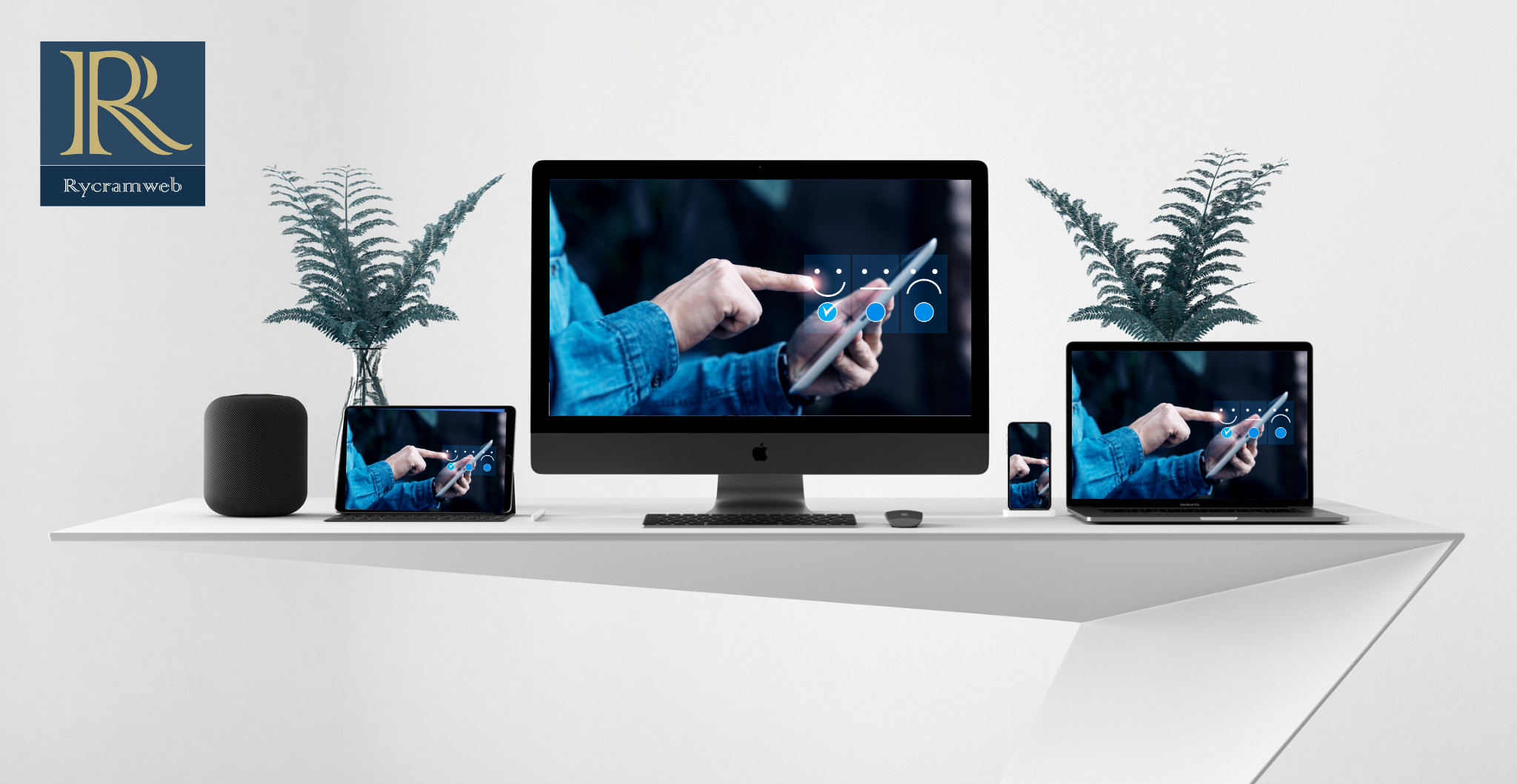 customer reviews and testimonials